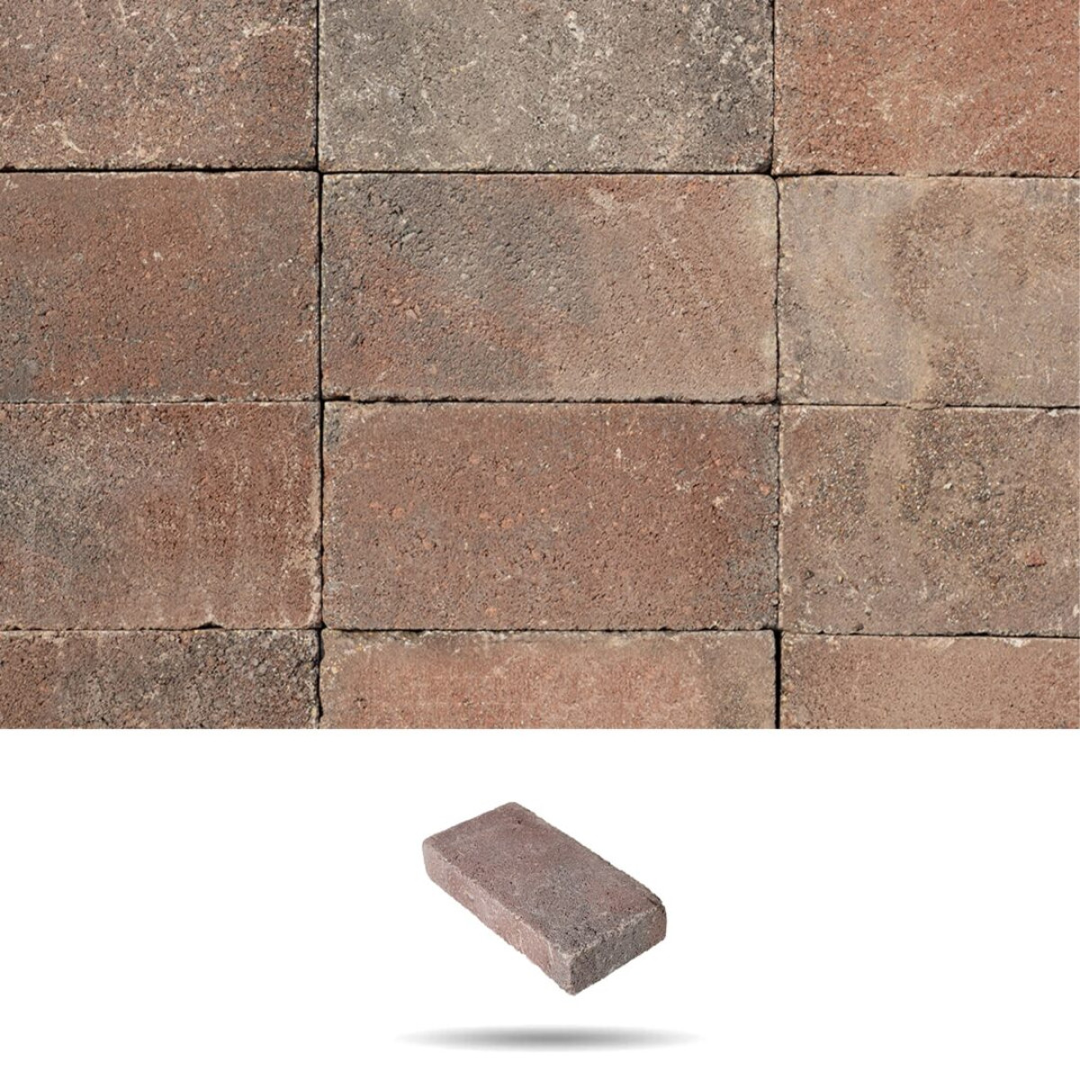 SW Térkő_Tokajkő 5 cm Pince