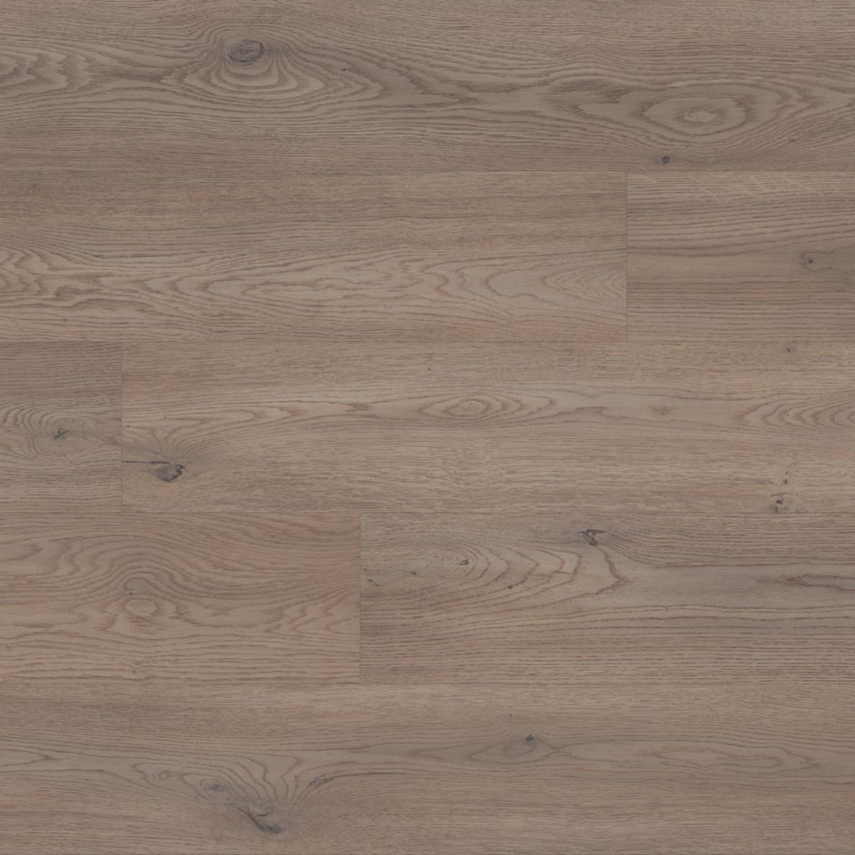 KAINDL NATURAL STANDARD 8 MM Tölgy CREMONA CANNOLO Laminált 1383x193x8 mm  /K2739/