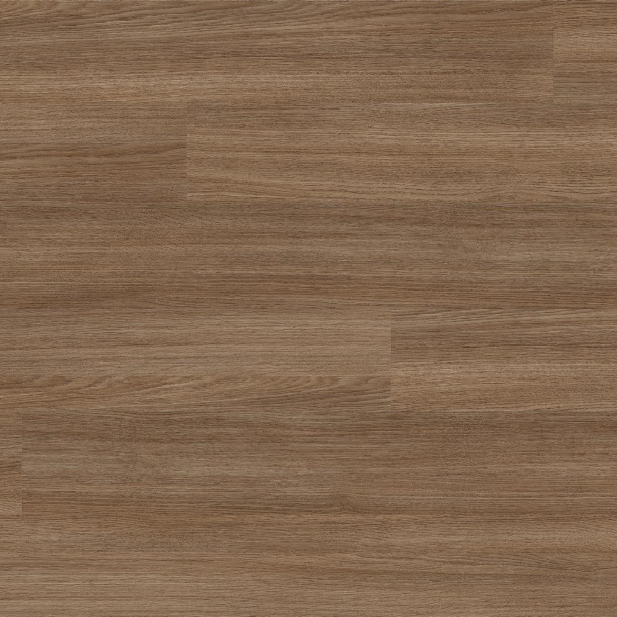 KAINDL EASY PRÉMIUM MAGASFÉNYŰ 8 MM tölgy AVIVA FAWN Laminált padló 1383x159x8 mm /O146/