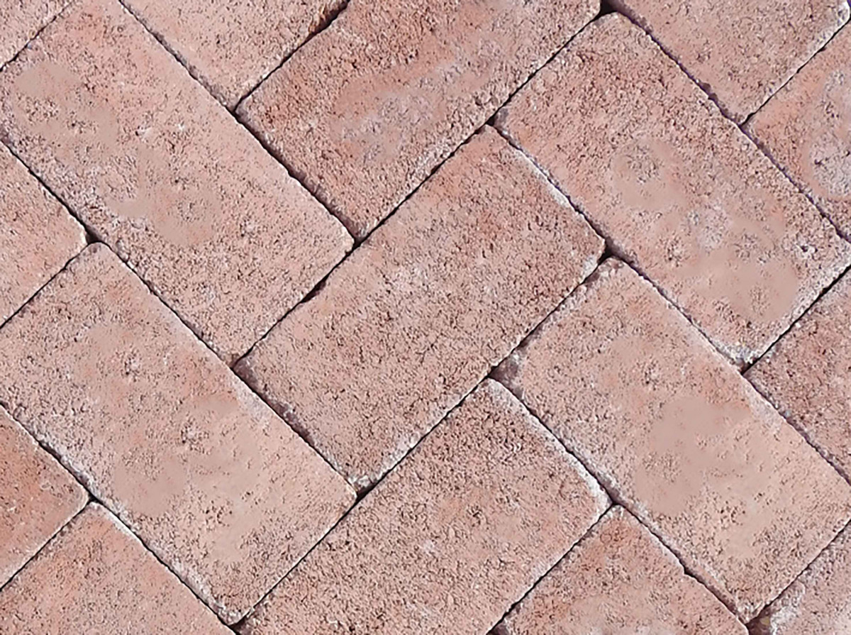 Barabás térkő Téglakő 5 cm, piros