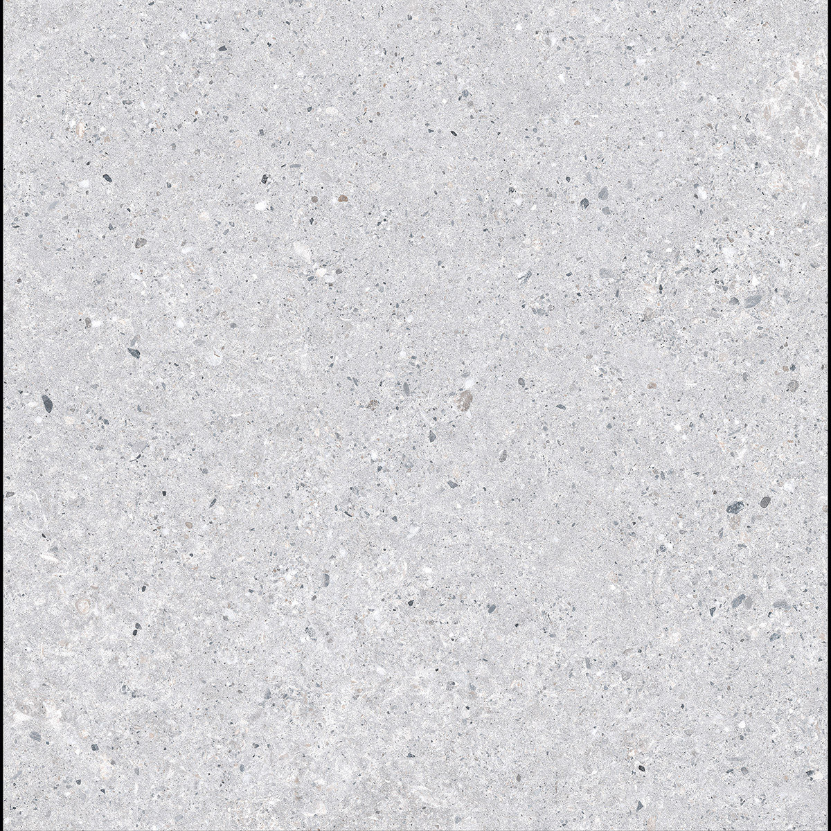 Arena_Terazzo Grigio RET matt padlólap 60x120x1 cm