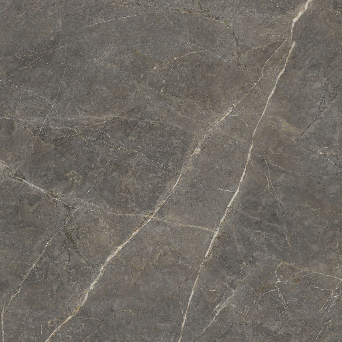 Golden Tile_Roots Brown matt padlólap 60 x 60 x 0,8 cm /SO7580/