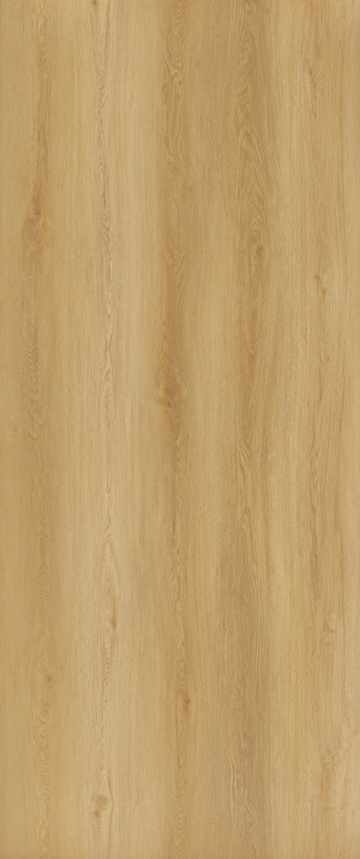 Modee_Beatrice Oak famintás SPC falpanel /WMSS205/ 1175*2800*4 mm