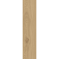 Monocibec_Ashley Nat. Ret Nature Gres burkolat 20*120*0,9 cm