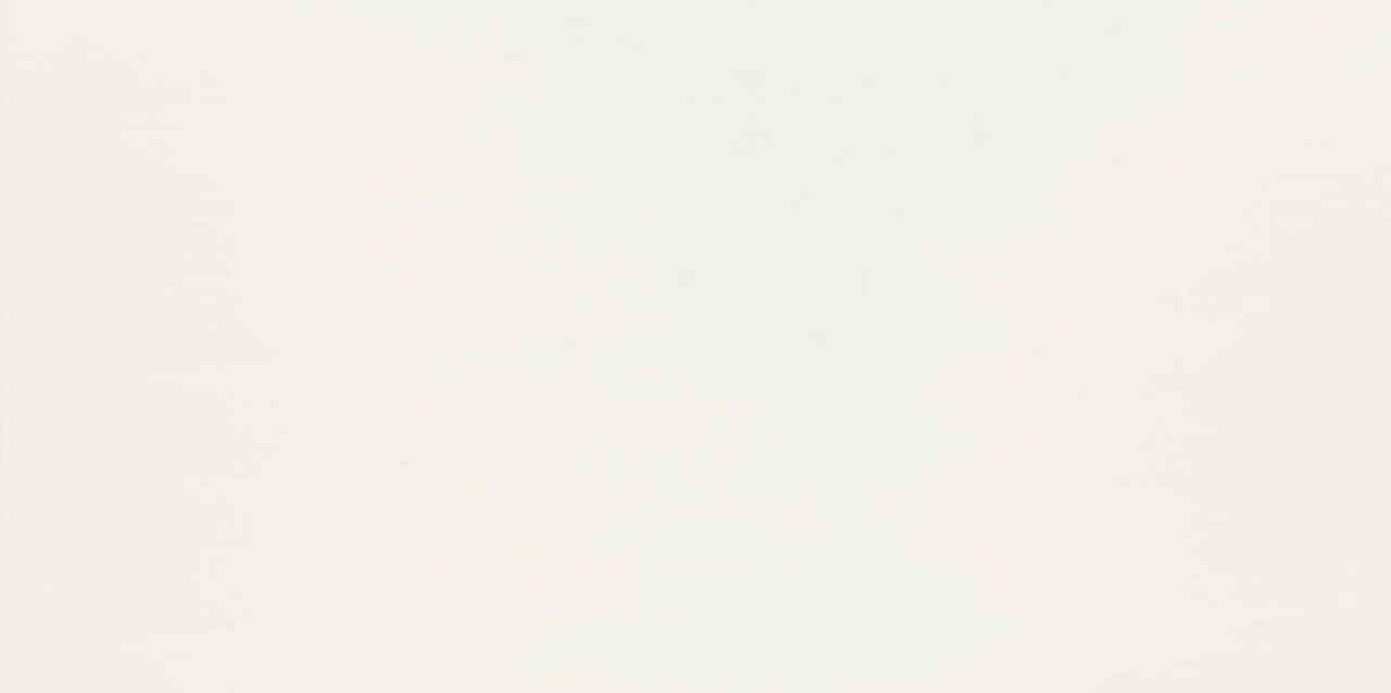 Arte_Melia White matt csempe 30,8*60,8*1 cm
