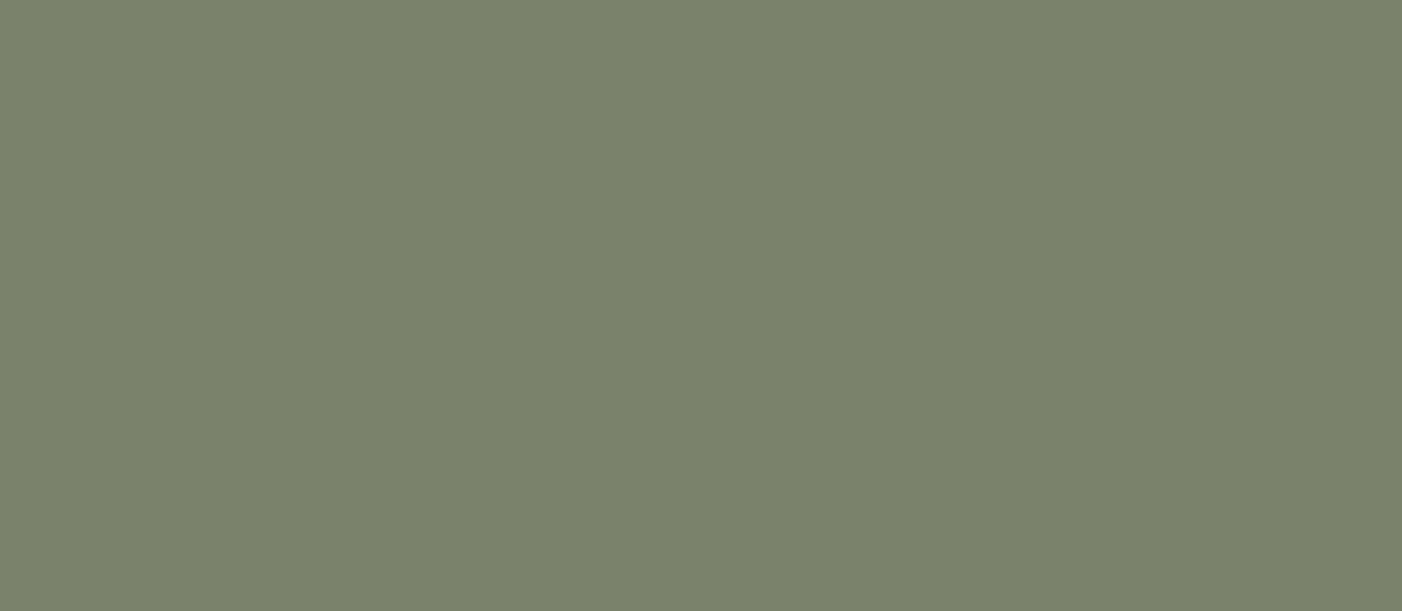 Tubadzin_Cielo E Terra Verde Matt gres burkolat 119,8*274,8*0,6 cm