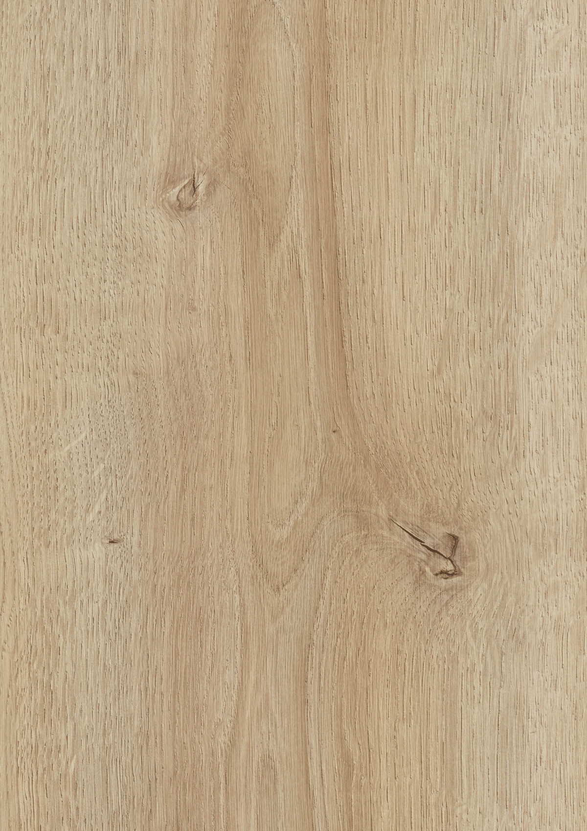 KAINDL AQUAPRO STANDARD NATURAL 8 MM tölgy CORDOBA CREMA Laminált padló