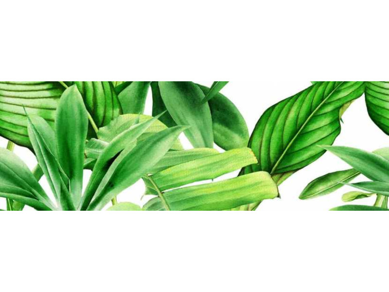 Valore_Garden Tropik Decor A Ret fényes/matt fali csempe 25*75 cm