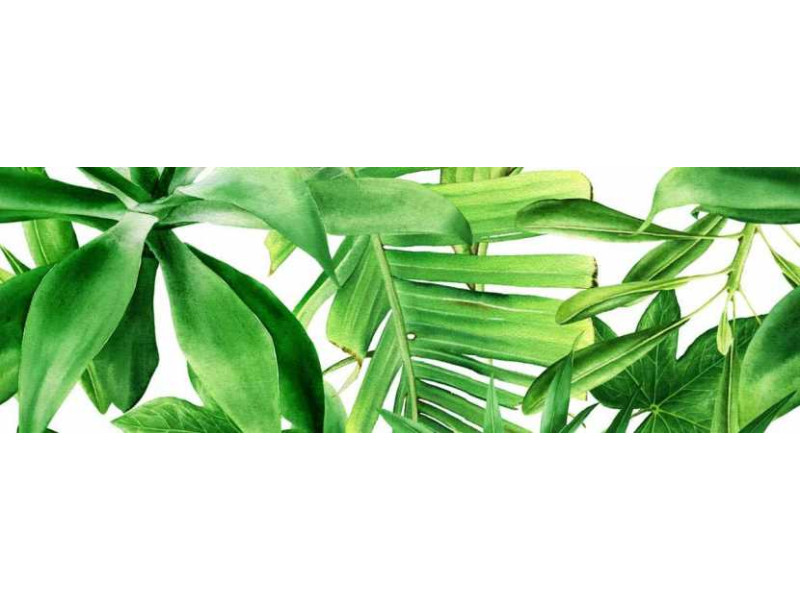 Valore_Garden Tropik Decor B Ret fényes/matt fali csempe 25*75 cm