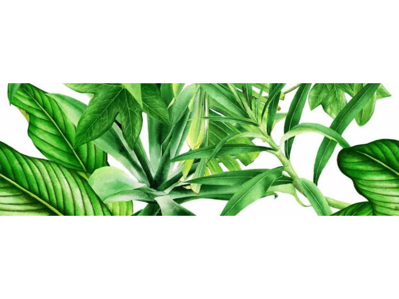 Valore_Garden Tropik Decor C Ret fényes/matt fali csempe 25*75 cm