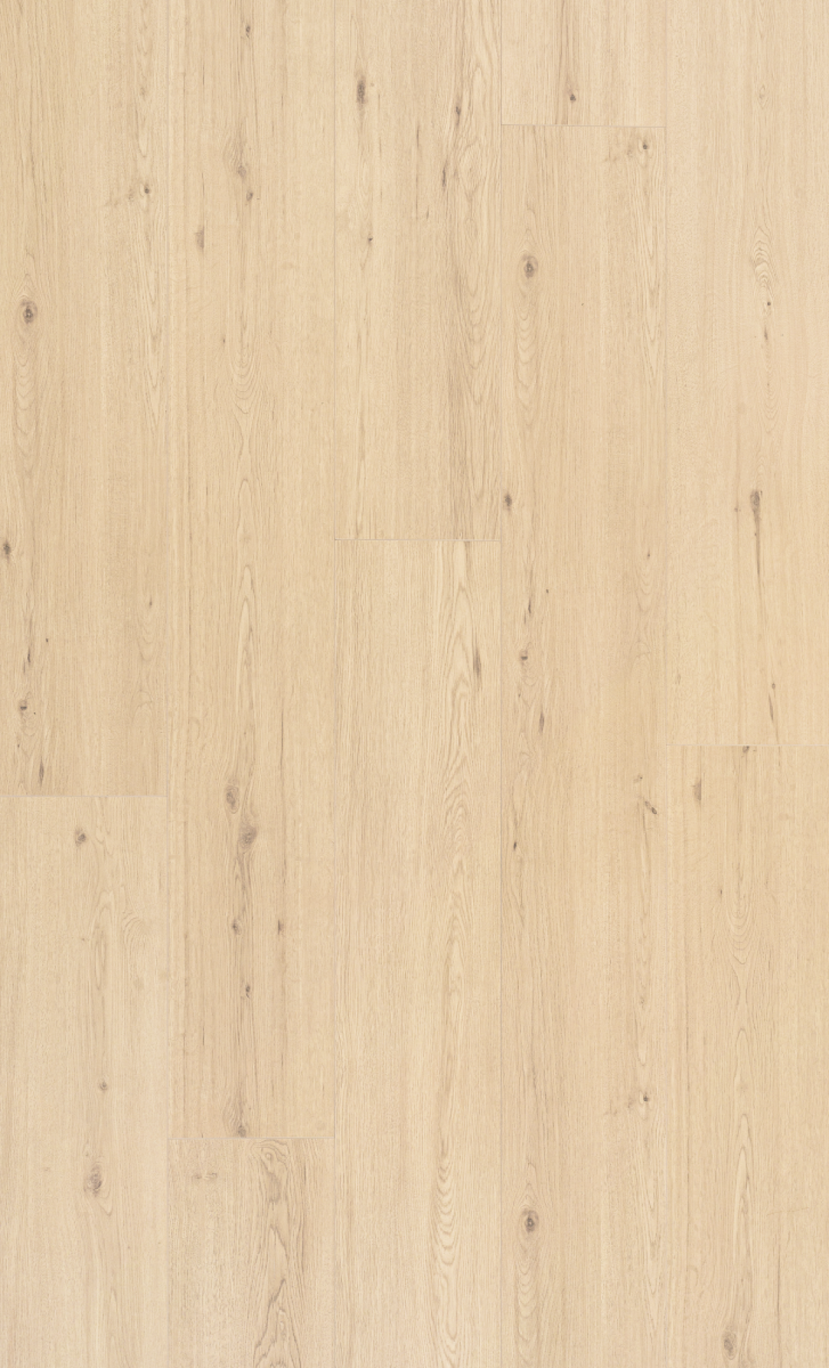 Swiss Krono_Artureon Chur Oak CQ laminált padló 1380*193*8 mm