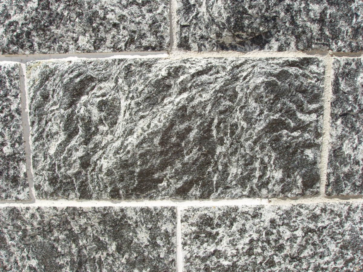 Serizzo Gránit Szabályos 15 x 31 Kőburkolat