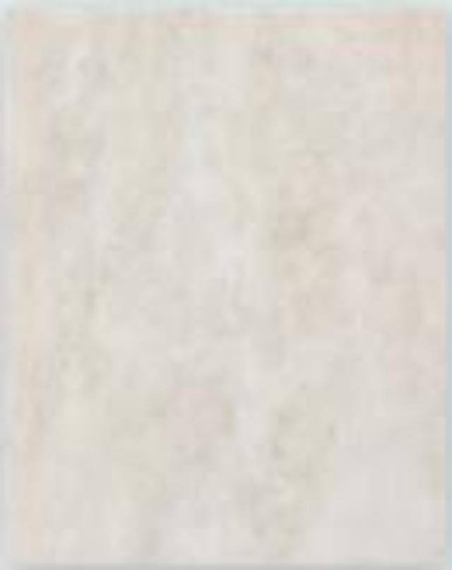 Zalakerámia Tiberis v.beige matt falicsempe 20*25 cm /ZBE 798/