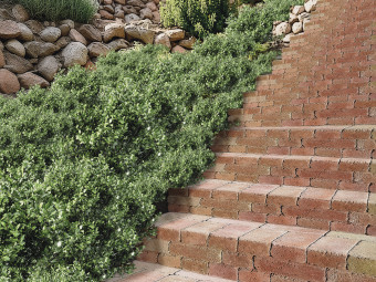 Téglakő lépcsőelem 96x36x15 cm Sárga-Piros