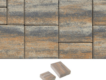 SW Térkő_Maroskő 6 cm Kagyló