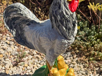 Beton butik_kerti díszek_Kakas