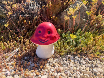 Beton butik_kerti díszek_Kicsi gomba - piros