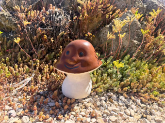 Beton butik_kerti díszek_Kicsi gomba - barna