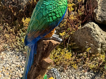 Beton butik_kerti díszek_Papagáj - zöld-sárga