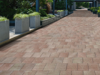 Barabás térkő_Everest Borostyán 5 cm