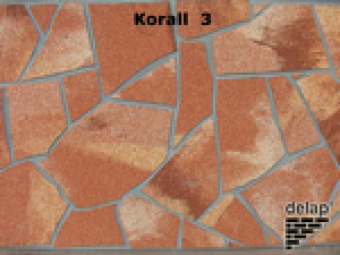 Delap Korall 3