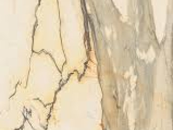 Gardenia_Orchidea La Marmoteca Antique Brown Lux/Soft greslap 60*120*0,6 cm