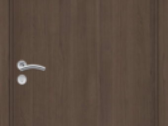 Borovi Beltéri ajtók_Ajtók_Délion P II._dekor