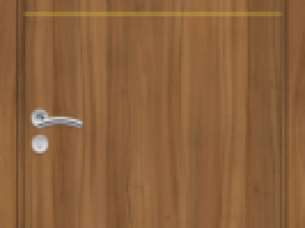 Borovi Beltéri ajtók_Ajtók_Délion II._cpl