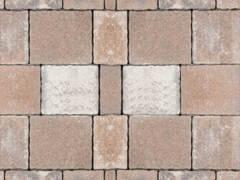 Leier Castrum térkő 5 cm natúr kagylóhéj