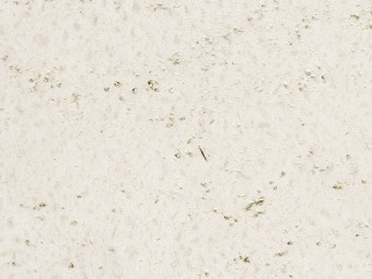 SEMMELROCK_LUSSO TIVOLI JÁRDALAP 90x30x4,5 CM KRÉMFEHÉR