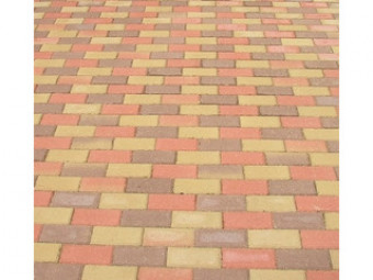 SW Térkő_Solymoskő 6 cm Őszilomb