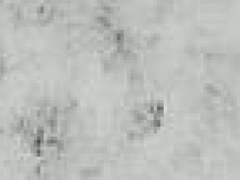 Tubadzin Nictate 3,9x59,8x1 cm lisztelló