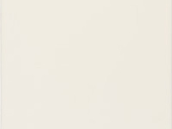 Zalakerámia Spektrum matt falicsempe 20*20 cm /ZBR 586/